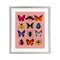 Stupell Industries Colorful Bug Species on Pink Framed Print Under Glass, design by LISH Creative